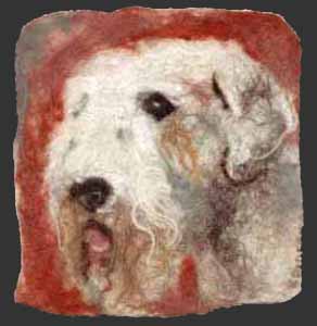 filtet portrt af sealyham terrier