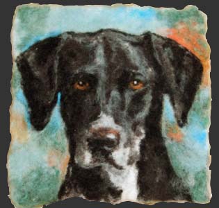 filtet portrt af sorthvid hund