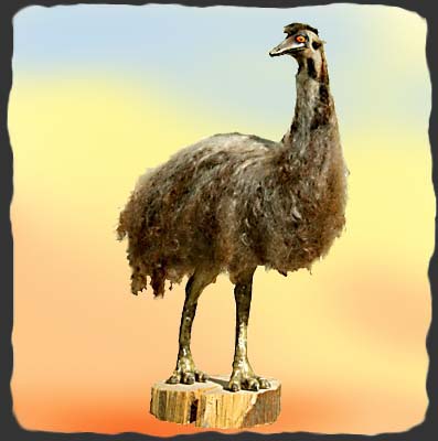 Figur af Emu med fjerdragt af uld